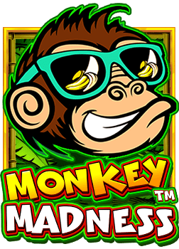 วิธีเล่นและถอนเงินใน สล็อต xo ให้เทพกว่าใคร